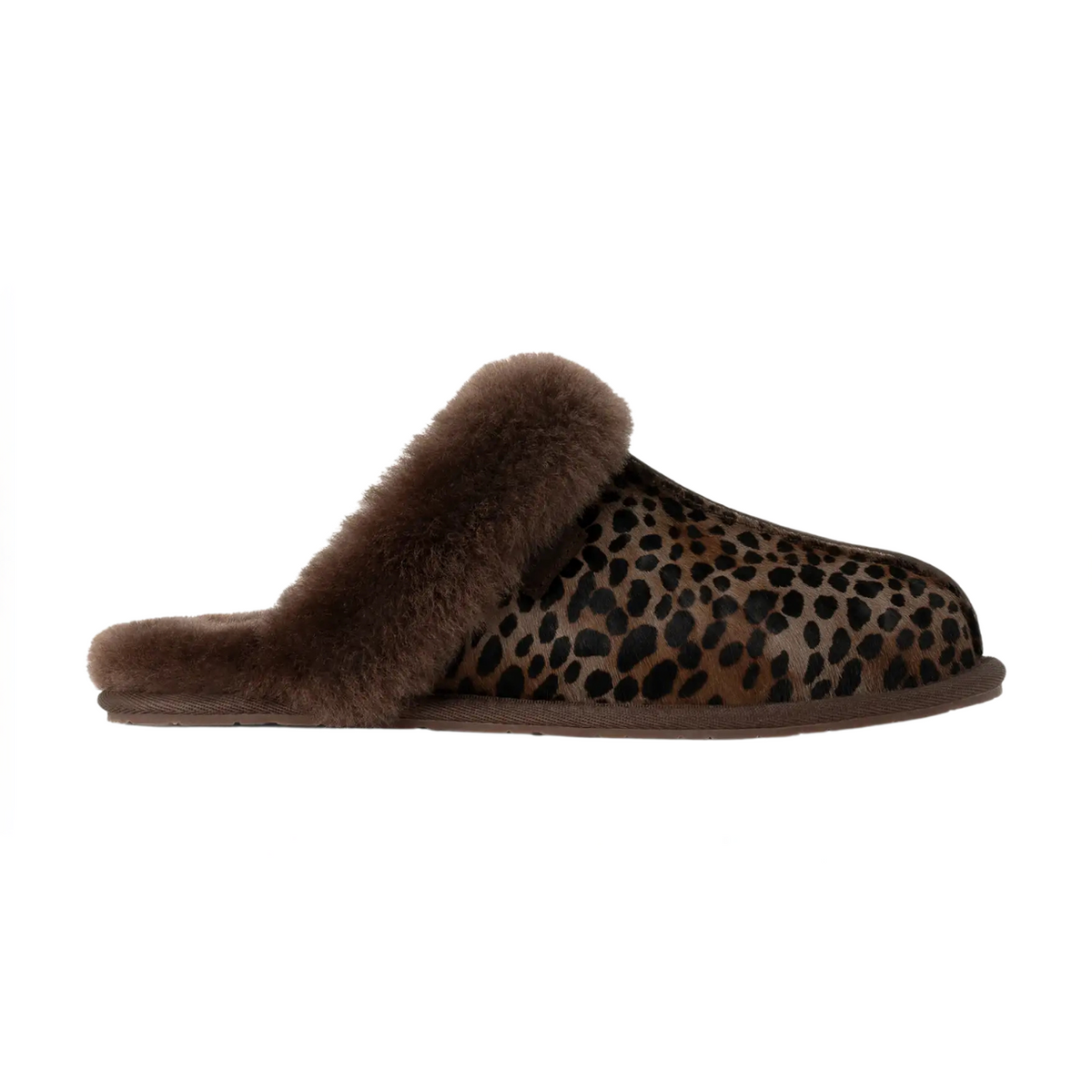 UGG Scuffette II 'Caspian' (Women)