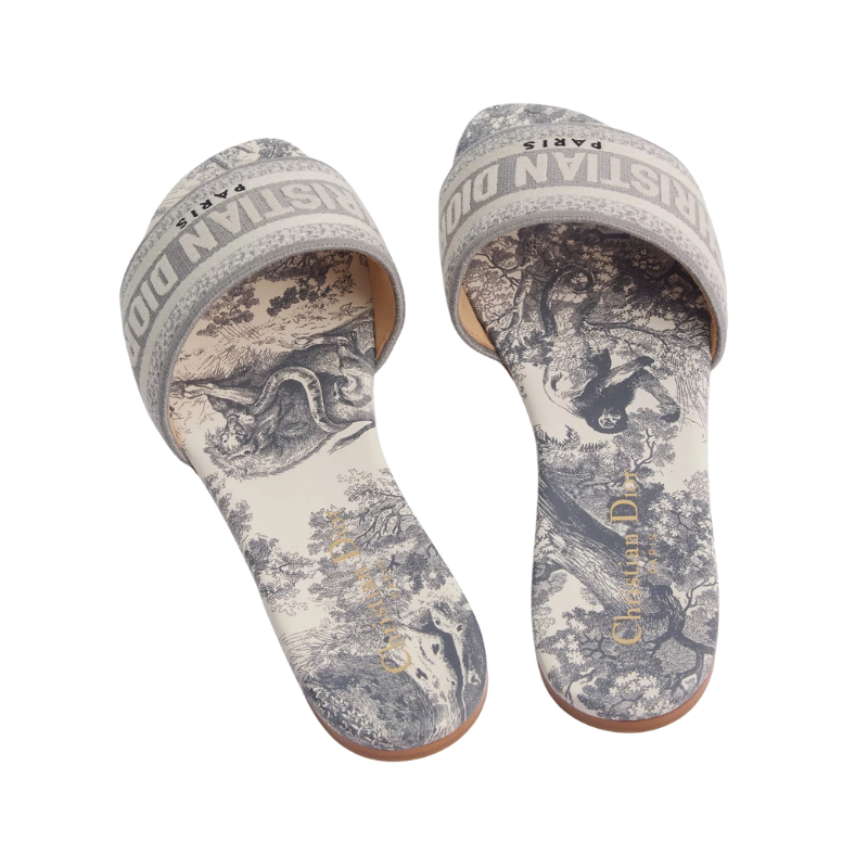 Dior Dway Slide 'Grey Toile de Jouy' (Women)